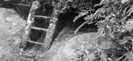 Fototapeta premium Une échelle en bois rongée par l'eau