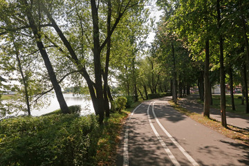 Bicycle path among the leaves of the Park alley. The Damansky island, Yaroslavl