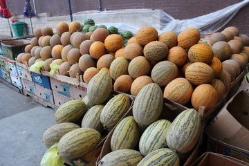 Melons at market stall