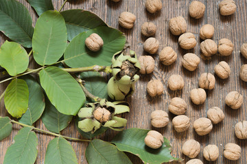  nuts on the table.the nuts. useful. natural.useful