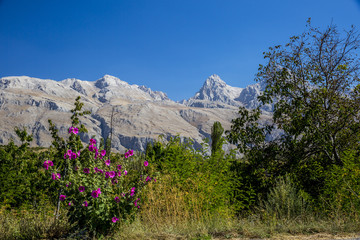 Pole top aladağ and surroundings  