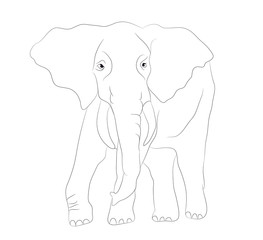 elephant graphic line, goes, vector