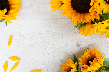 Sunflowers fresh flowers on white wooden table background, flat lat frame with copy space