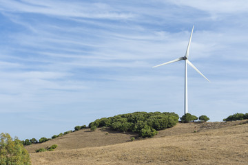 Aerogenerador  para producir electricidad, aislado en el campo