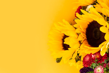 Aster and sunflower flowers on yellow, flat lay floral background with copy space