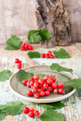 A handful of hawthorn berries with leaves on a plate on a rustic background