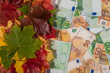 Promotion sale concept background with euro money and colorful autumn maple leaves