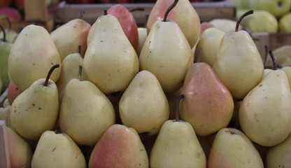 Pear fruits closeup
