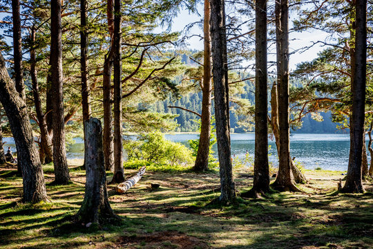 Le Lac de Servi&egrave;res en Auvergne
