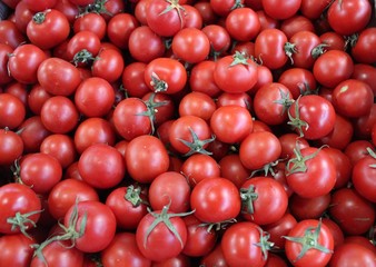 Red tomatoes background closeup