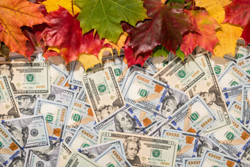 Promotion sale concept background with dollars money and colorful autumn maple leaves