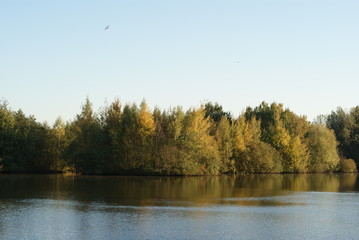Fototapeta premium Beautiful park in Bremen with lake and green gras and trees perfect place for relax or camping or piknick with family and kids