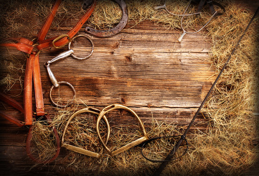 Horse equipments on wooden background and empty space for text