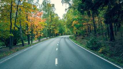 Road through the autumn forest at october.