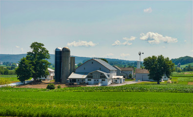 Amish Farm Landscape C