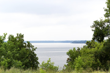 Panoramic view of the river and trees against a gray sky on a cloudy day. Natural background