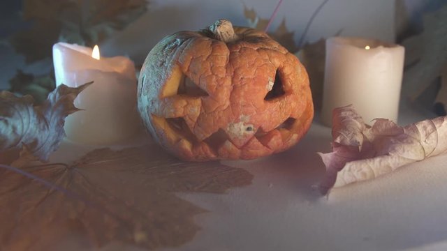 Halloween pumpkin autumn background