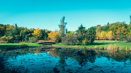 Park pond in the Ruissalo, Finland. In October 2018.