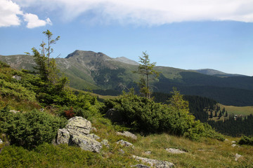 Parang Mountains (mount Carja), Southern Carpathians, Romania