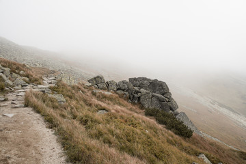foggy hiking trail