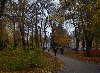 autumn in the park