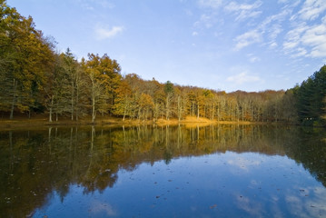 Fototapeta na wymiar Fall season, small lake in the Foresta Umbra, Gargano, Apulia, Italy
