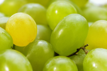 Ripe fresh grapes close-up,  background.