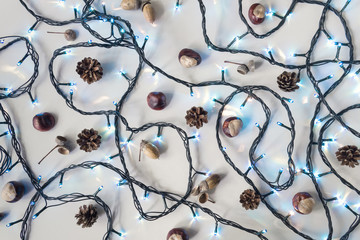 Acorns, chestnuts, pinecones and blue fairy lights on a white backgound, top view. Festive background.