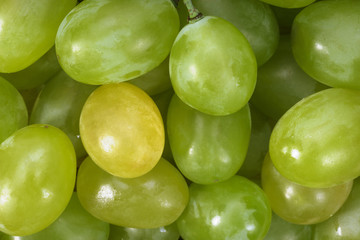 Ripe fresh grapes close-up,  background.