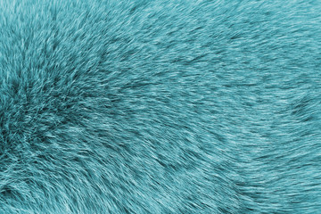 Close up texture of blue fur abstract background