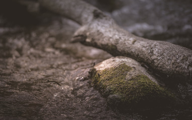 close up water 