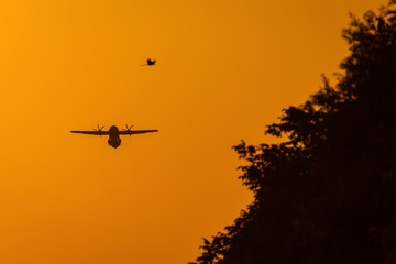 Fototapeta na wymiar Plane in the air at sunset with red sky in background near to a bird