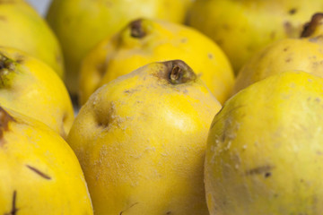 sweet yellow quince