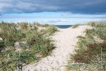 Path to a beach in Denmark through the dunes and steps in sand