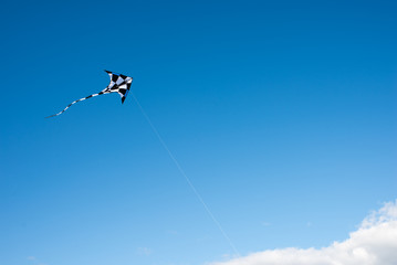 Flying a kite on a beach in Denmark during autumn