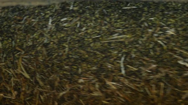 Production for the processing of rapeseed oilseeds and the production of rapeseed oil, the work of the roaster, the shafts of the roaster stir the crushed rape, roaster, close-up