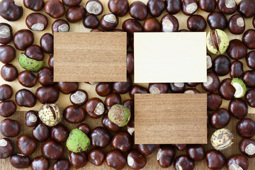 Scattered chestnuts as a creative autumn background for three wooden cards with blank space for text.