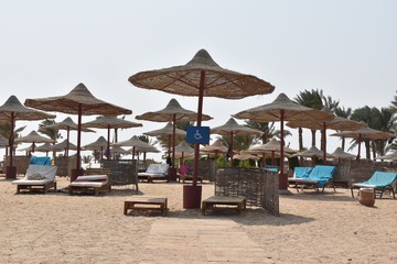 Plaża i wybrzeże w Marsa Alam w Egipcie © Iwona