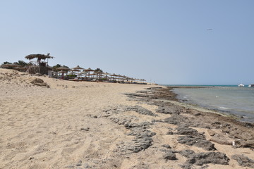 Plaża i wybrzeże w Marsa Alam w Egipcie © Iwona