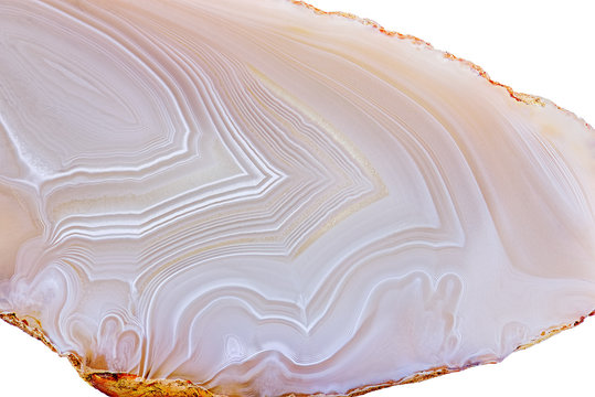 Amazing Banded Agate Crystal cross section cut isolated on white background. Natural light translucent agate crystal surface, Gray abstract structure slice mineral stone macro closeup