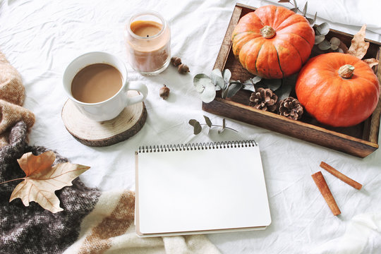 Autumn breakfast in bed composition. Blank calendar, notebook mockup. Cup of coffee, eucalyptus leaves and pumpkins on wooden tray. White linen background. Thanksgiving, Halloween holiday. Top view.