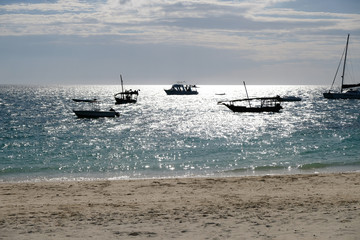 Beautiful scenic view coast Zanzibar island Tanzania Kendwa beach