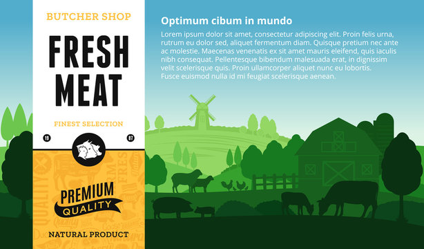 Vector meat illustration