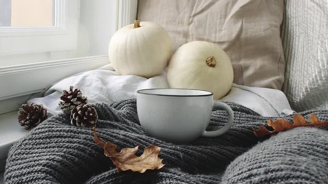 Cozy Autumn morning breakfast in bed scene. Steaming cup of hot coffee, tea standing near window. Fall, Thanksgiving concept. White pumpkins, pine cones and oak leaves on wool plaid. Loopable.