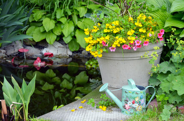 Colorful watering can and flower planter next to pond