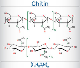 Chitin molecule. It is natural compound from the group of nitrogen-containing polysaccharides. Structural chemical formula and molecule model - obrazy, fototapety, plakaty