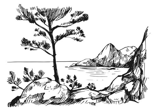Sketch with sea, rocks and pine-tree. Hand drawn illustration converted to vector