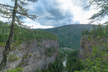 Cliff in the forest with mountain in background and river below
