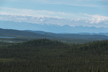 Fototapeta na wymiar Panorama Tetlin Wildlife Refuge Alaska