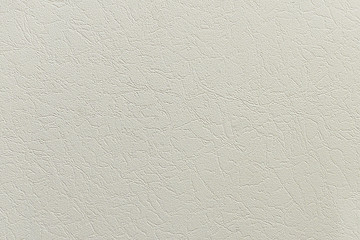 textured surface of the house wall